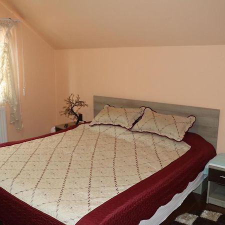 Hotel Amelia House à Făgăraş Extérieur photo