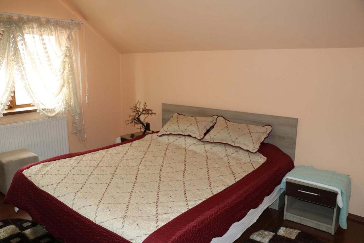 Hotel Amelia House à Făgăraş Extérieur photo